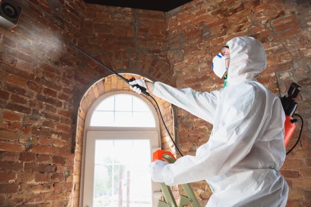 Mold Remediation for Vacation Homes in St Clair Shores, MI